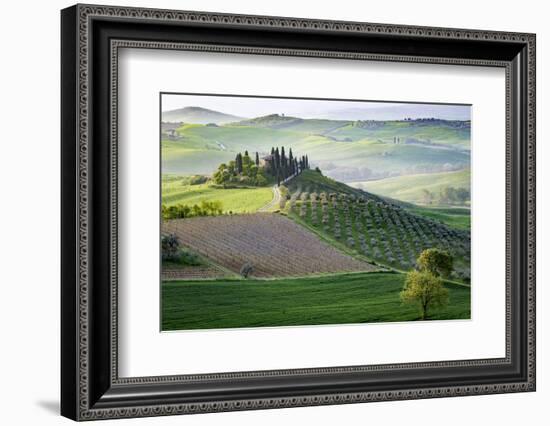 San Quirico, Val d'Orcia, Tuscany. Italy-Francesco Riccardo Iacomino-Framed Photographic Print