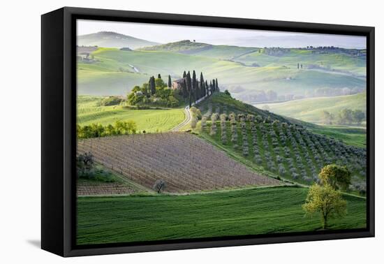 San Quirico, Val d'Orcia, Tuscany. Italy-Francesco Riccardo Iacomino-Framed Premier Image Canvas