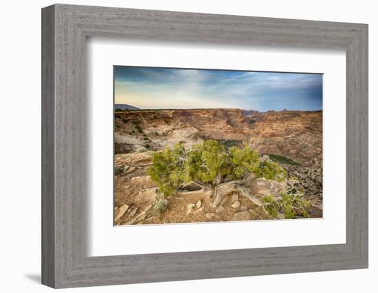 San Rafael Swell from the Wedge Overlook-Howie Garber-Framed Photographic Print