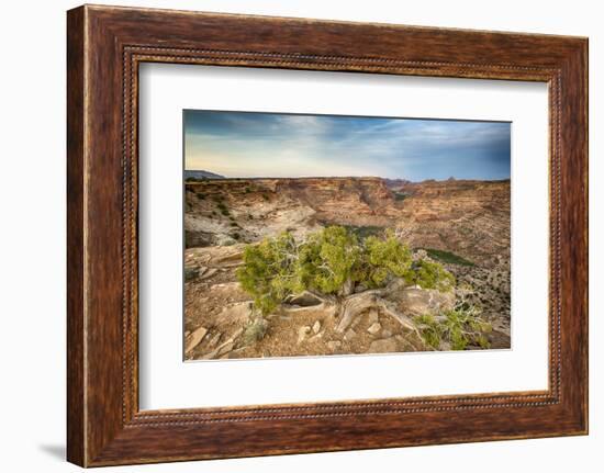 San Rafael Swell from the Wedge Overlook-Howie Garber-Framed Photographic Print