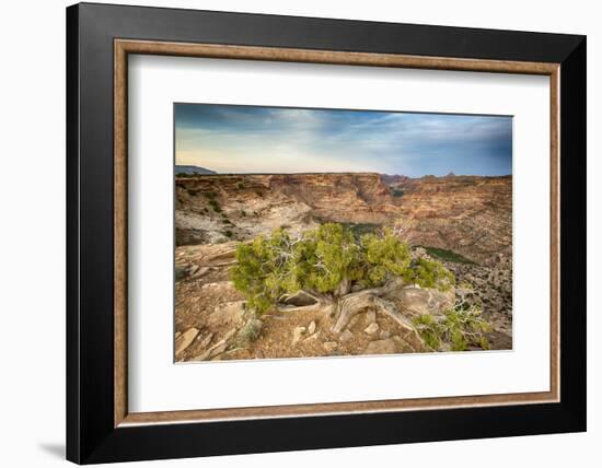 San Rafael Swell from the Wedge Overlook-Howie Garber-Framed Photographic Print