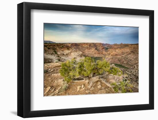 San Rafael Swell from the Wedge Overlook-Howie Garber-Framed Photographic Print