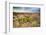 San Rafael Swell from the Wedge Overlook-Howie Garber-Framed Photographic Print