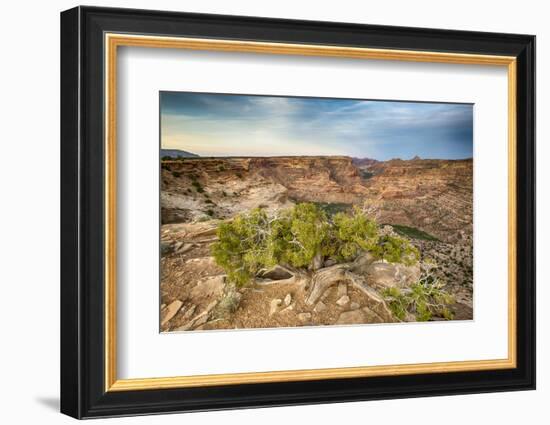 San Rafael Swell from the Wedge Overlook-Howie Garber-Framed Photographic Print