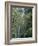 San Ramon Waterfall, Ometepe Island, Nicaragua, Central America-G Richardson-Framed Photographic Print