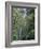 San Ramon Waterfall, Ometepe Island, Nicaragua, Central America-G Richardson-Framed Photographic Print