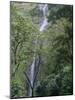 San Ramon Waterfall, Ometepe Island, Nicaragua, Central America-G Richardson-Mounted Photographic Print