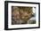 San Rock Art, Cederberg Mountains, Western Cape, South Africa, Africa-Ann & Steve Toon-Framed Photographic Print