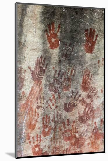 San Rock Art Hand Prints, Cederberg Mountains, Western Cape, South Africa, Africa-Ann & Steve Toon-Mounted Photographic Print