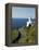 San Sebastian Bay Clifftop Lighthouse with Cyclist Riding Uphill-Christian Kober-Framed Premier Image Canvas