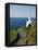 San Sebastian Bay Clifftop Lighthouse with Cyclist Riding Uphill-Christian Kober-Framed Premier Image Canvas