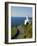 San Sebastian Bay Clifftop Lighthouse with Cyclist Riding Uphill-Christian Kober-Framed Photographic Print