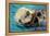 San Simeon, CA - Sea Otter-Lantern Press-Framed Stretched Canvas