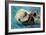 San Simeon, CA - Sea Otter-Lantern Press-Framed Art Print