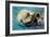 San Simeon, CA - Sea Otter-Lantern Press-Framed Art Print