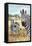 San Simeon, CA - Zebra Scene --Lantern Press-Framed Stretched Canvas