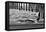San Simeon Pier BW-Lee Peterson-Framed Stretched Canvas