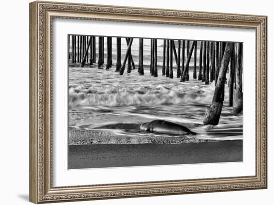 San Simeon Pier BW-Lee Peterson-Framed Photo