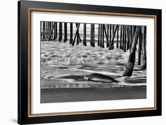 San Simeon Pier BW-Lee Peterson-Framed Photo