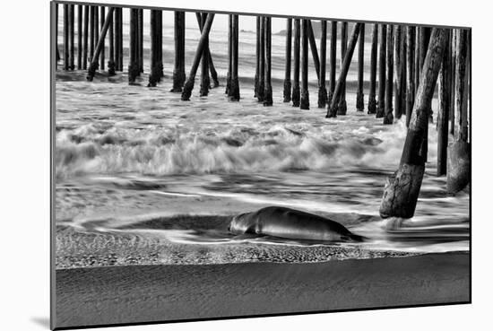 San Simeon Pier BW-Lee Peterson-Mounted Photo