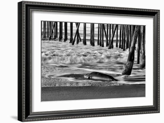 San Simeon Pier BW-Lee Peterson-Framed Photo