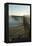San Simeon Pier, California-Natalie Tepper-Framed Stretched Canvas