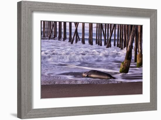 San Simeon Pier I-Lee Peterson-Framed Photo