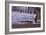 San Simeon Pier I-Lee Peterson-Framed Photo