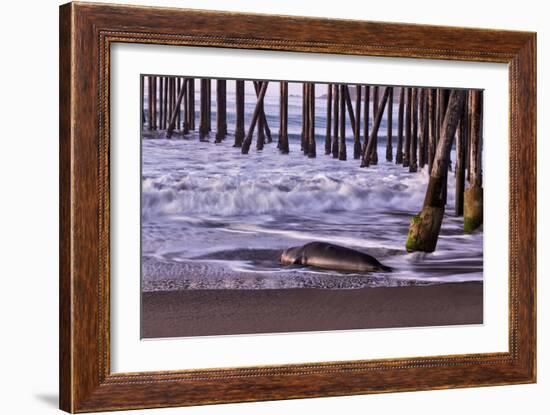 San Simeon Pier I-Lee Peterson-Framed Photo