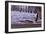 San Simeon Pier I-Lee Peterson-Framed Photo