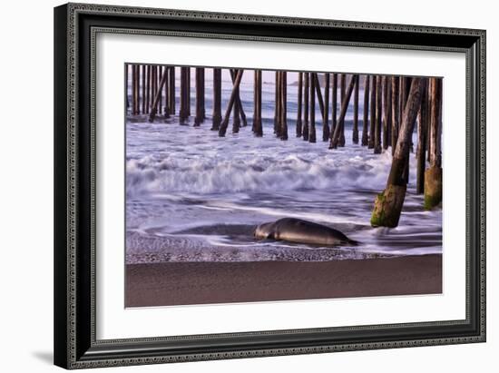 San Simeon Pier I-Lee Peterson-Framed Photo