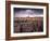 Sana'a, Yemen-Peter Adams-Framed Photographic Print