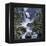 Sanctuary Falls-John Van Straalen-Framed Premier Image Canvas