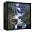 Sanctuary Falls-John Van Straalen-Framed Premier Image Canvas