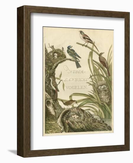 Sanctuary for Birds-Nozeman-Framed Art Print