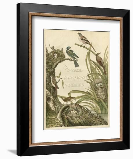 Sanctuary for Birds-Nozeman-Framed Art Print