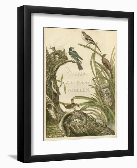Sanctuary for Birds-Nozeman-Framed Art Print