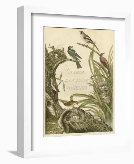 Sanctuary for Birds-Nozeman-Framed Art Print