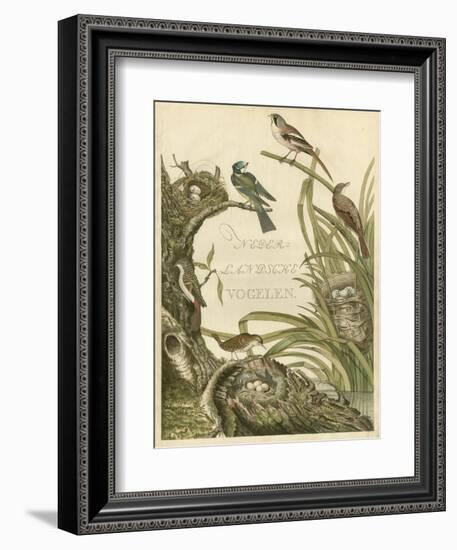 Sanctuary for Birds-Nozeman-Framed Art Print