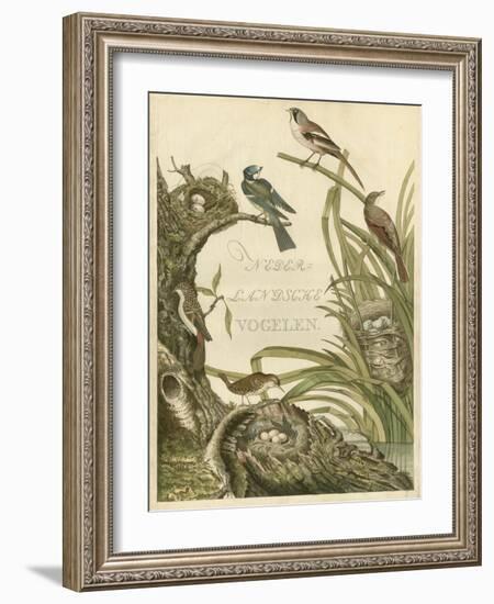 Sanctuary for Birds-Nozeman-Framed Art Print