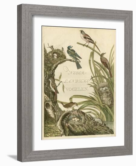 Sanctuary for Birds-Nozeman-Framed Art Print