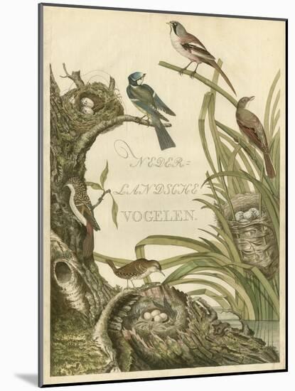 Sanctuary for Birds-Nozeman-Mounted Art Print