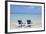 Sand and Beach Chairs Await Tourists, Varadero, Cuba-Bill Bachmann-Framed Photographic Print