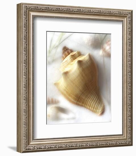 Sand and Shell VI-Donna Geissler-Framed Art Print