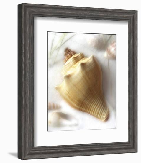 Sand and Shell VI-Donna Geissler-Framed Art Print