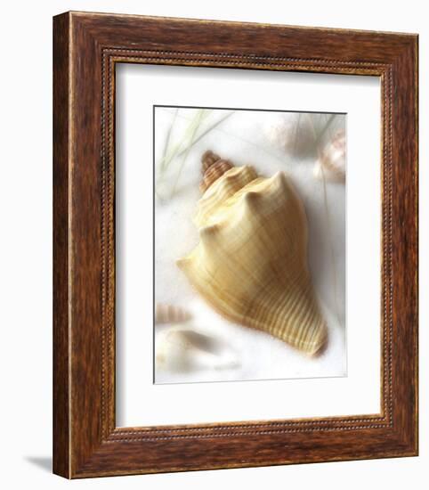 Sand and Shell VI-Donna Geissler-Framed Art Print