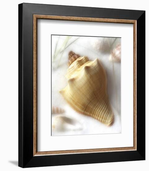 Sand and Shell VI-Donna Geissler-Framed Art Print