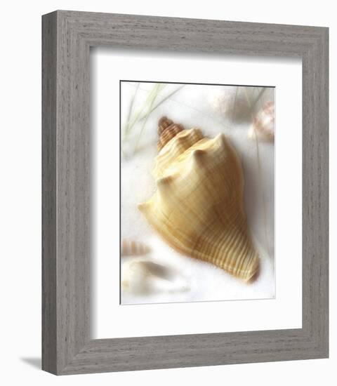 Sand and Shell VI-Donna Geissler-Framed Art Print