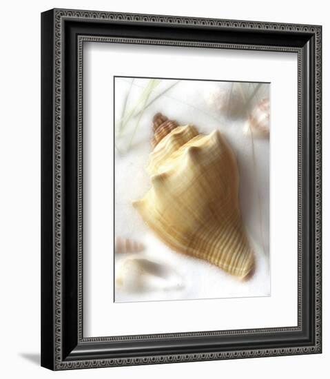 Sand and Shell VI-Donna Geissler-Framed Art Print