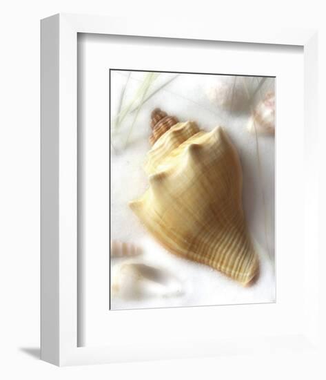 Sand and Shell VI-Donna Geissler-Framed Art Print